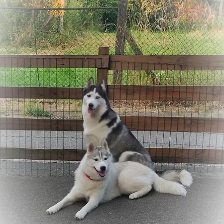 Au Verger Des Louves